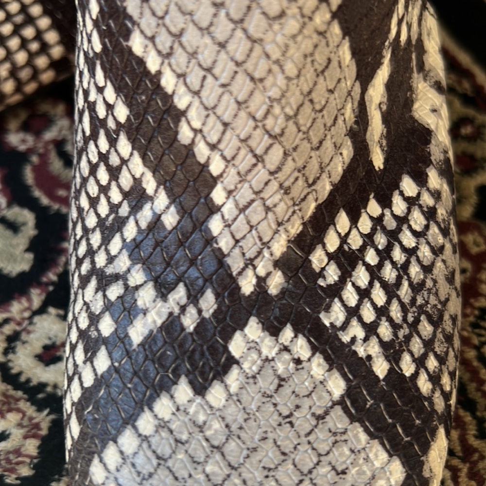 Amazing Coach python skin booties 👌🔥🔥🔥 - Picture 11 of 15